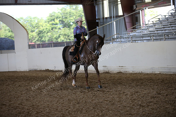 AHANC_Show18_ThursPM_1227