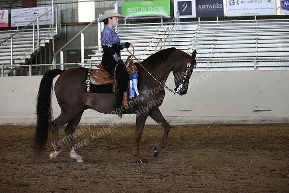 AHANC_Show18_ThursPM_1229