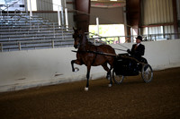 AHANC_Show18_FriAM_0875