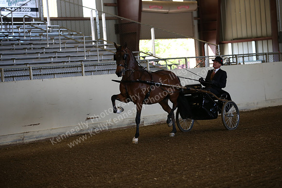 AHANC_Show18_FriAM_0875