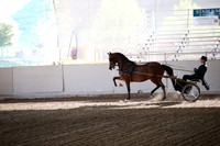 AHANC_Show18_FriAM_0877