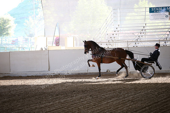 AHANC_Show18_FriAM_0877