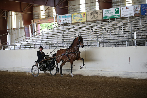 AHANC_Show18_FriAM_0881