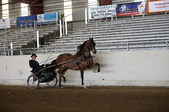 AHANC_Show18_FriAM_0883