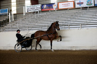 AHANC_Show18_FriAM_0884