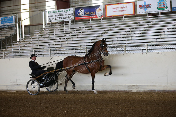 AHANC_Show18_FriAM_0884