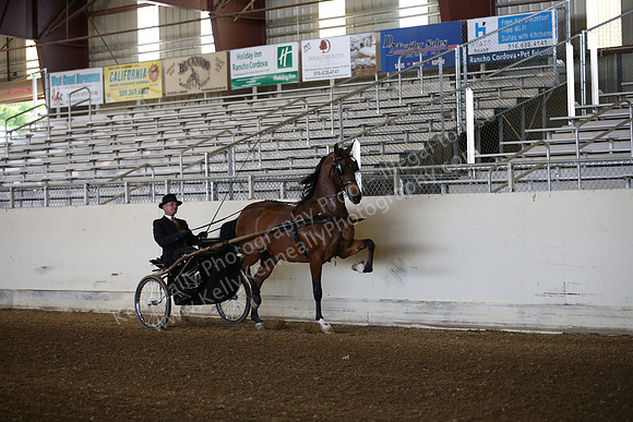AHANC_Show18_FriAM_0882