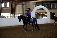 AHANC_Show18_FriAM_0891