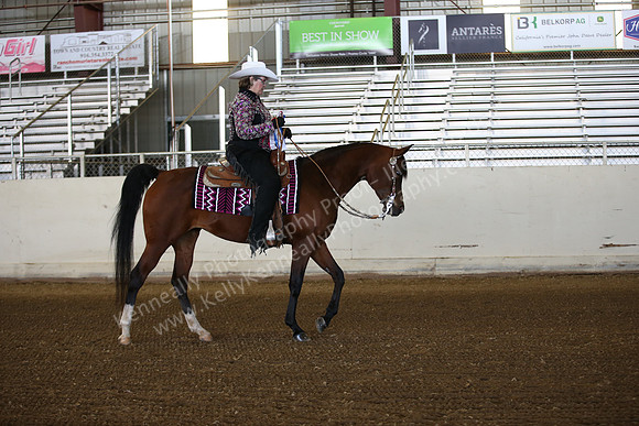 AHANC_Show18_FriAM_0900