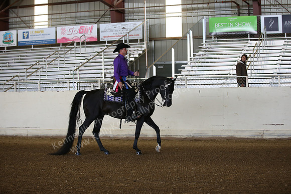 AHANC_Show18_FriAM_0902