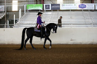 AHANC_Show18_FriAM_0903