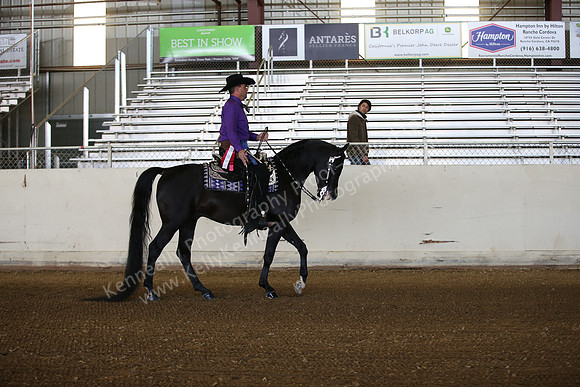 AHANC_Show18_FriAM_0903