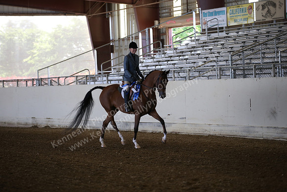AHANC_Show18_FriAM_0912