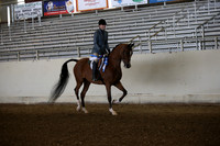 AHANC_Show18_FriAM_0915