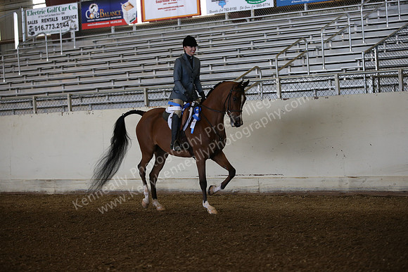 AHANC_Show18_FriAM_0915