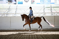 AHANC_Show18_FriAM_0905