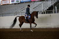 AHANC_Show18_FriAM_0916
