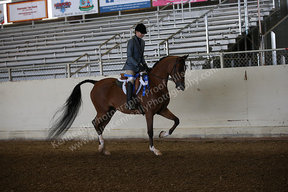 AHANC_Show18_FriAM_0916
