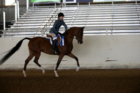 AHANC_Show18_FriAM_0917
