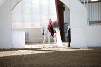AHANC_Show18_FriAM_0922