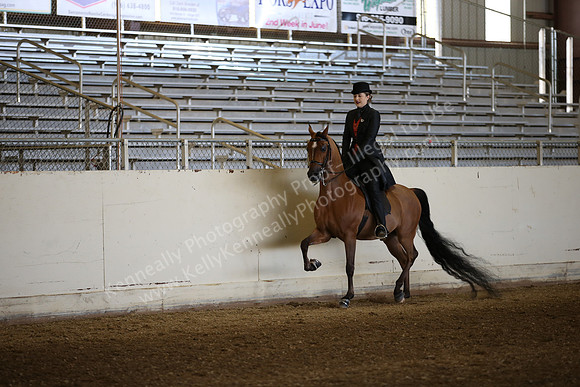 AHANC_Show18_FriAM_0954