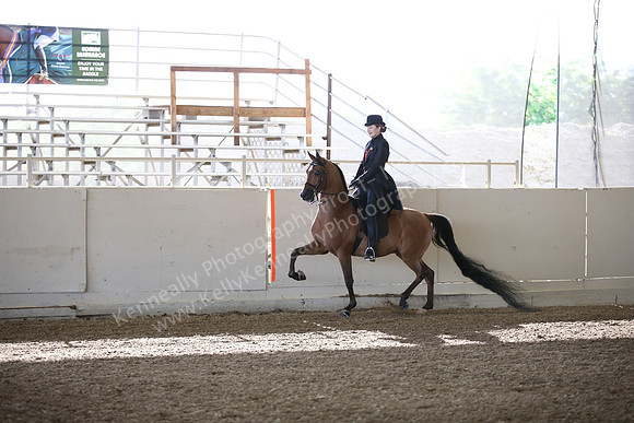 AHANC_Show18_FriAM_0949