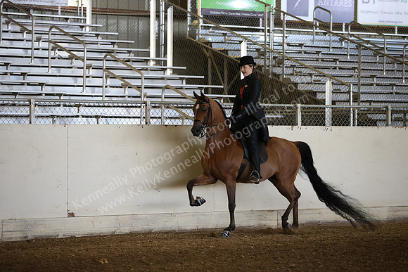 AHANC_Show18_FriAM_0955