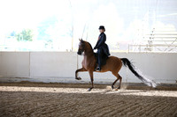 AHANC_Show18_FriAM_0953