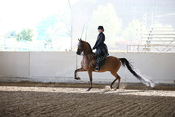 AHANC_Show18_FriAM_0953