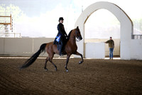 AHANC_Show18_FriAM_0960