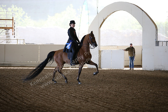 AHANC_Show18_FriAM_0960