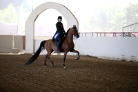 AHANC_Show18_FriAM_0961