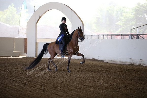 AHANC_Show18_FriAM_0961