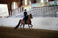 AHANC_Show18_FriAM_0963