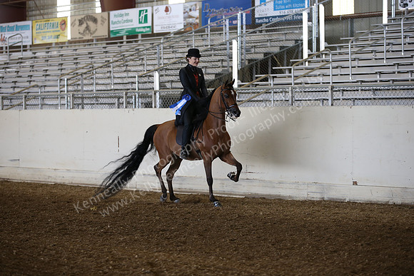 AHANC_Show18_FriAM_0964