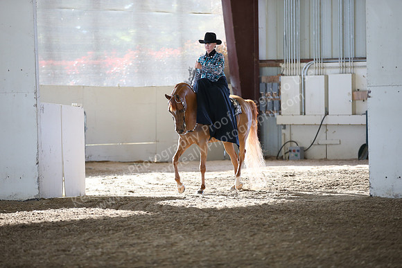 AHANC_Show18_FriAM_0971