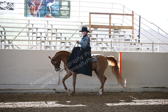 AHANC_Show18_FriAM_0974