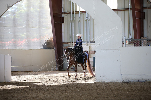 AHANC_Show18_FriAM_0979