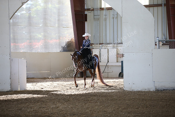 AHANC_Show18_FriAM_0980