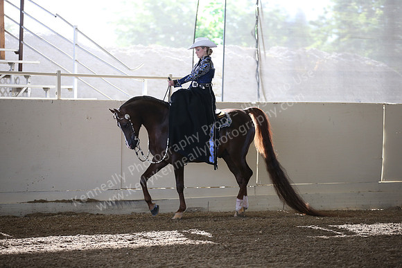 AHANC_Show18_FriAM_0983