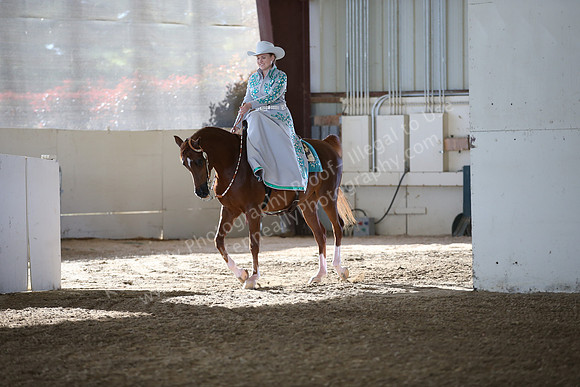 AHANC_Show18_FriAM_0986