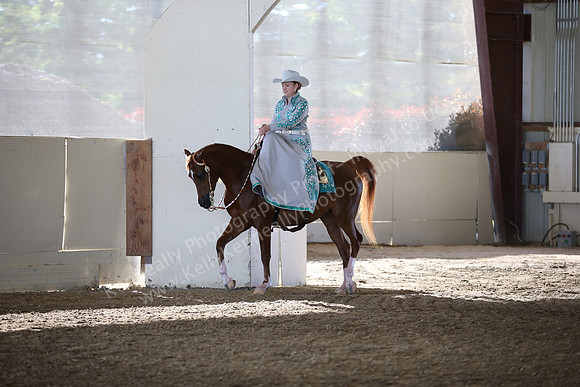 AHANC_Show18_FriAM_0987