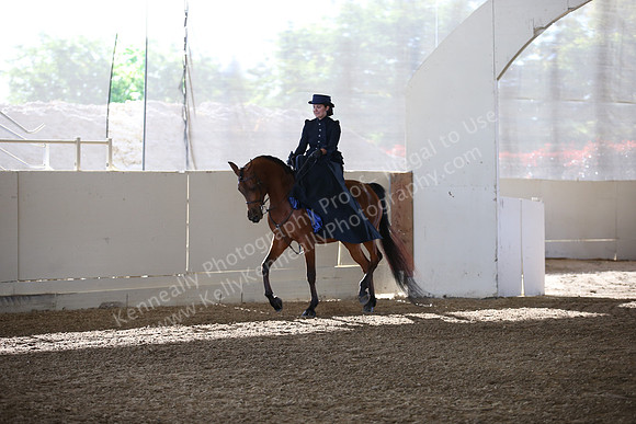 AHANC_Show18_FriAM_0991
