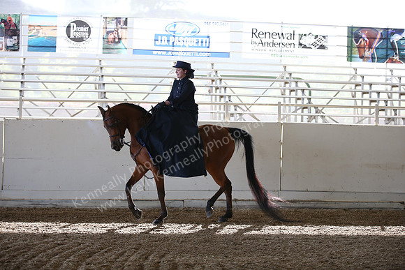 AHANC_Show18_FriAM_0994