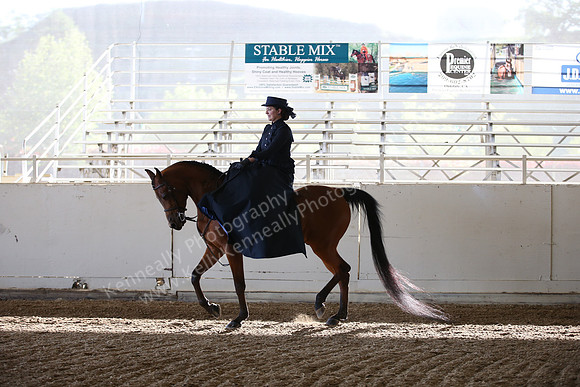 AHANC_Show18_FriAM_0995