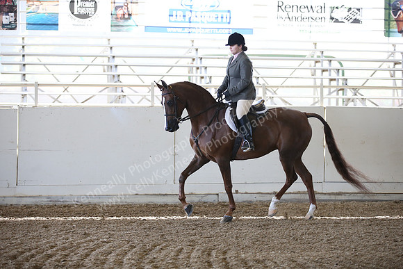 AHANC_Show18_FriAM_1005