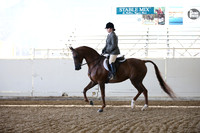 AHANC_Show18_FriAM_1006