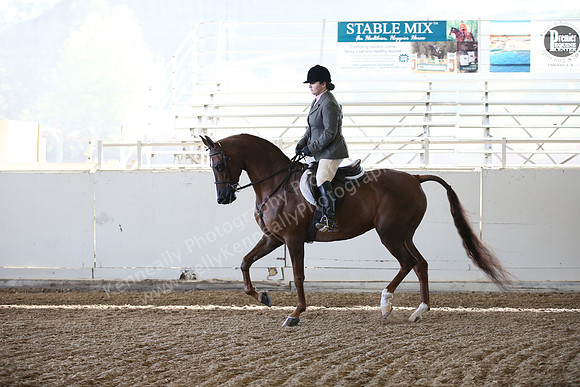 AHANC_Show18_FriAM_1006