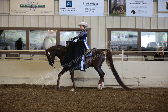 AHANC_Show18_FriAM_1000