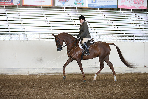 AHANC_Show18_FriAM_1014